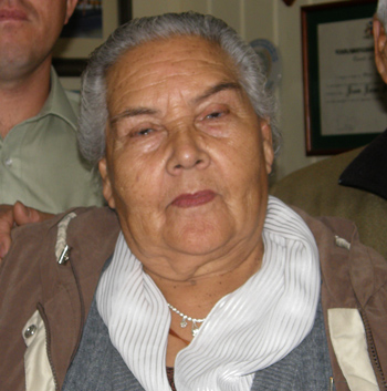 panguipulli